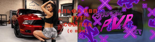 прущие грибы Балабаново