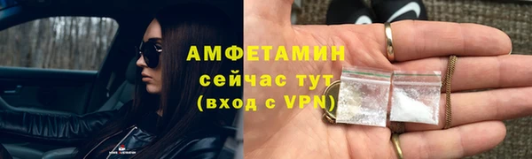 прущие грибы Балабаново