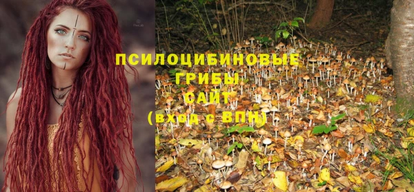 прущие грибы Балабаново
