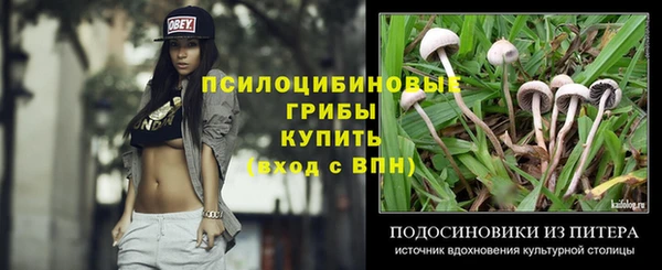 прущие грибы Балабаново