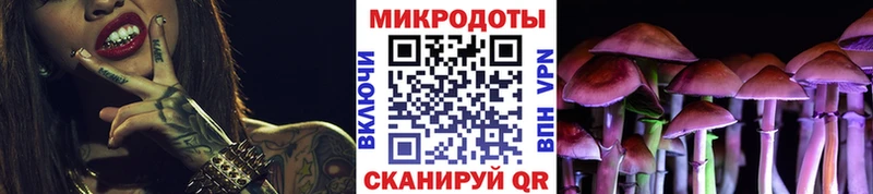 где можно купить наркотик  Новоульяновск  Псилоцибиновые грибы Psilocybine cubensis 